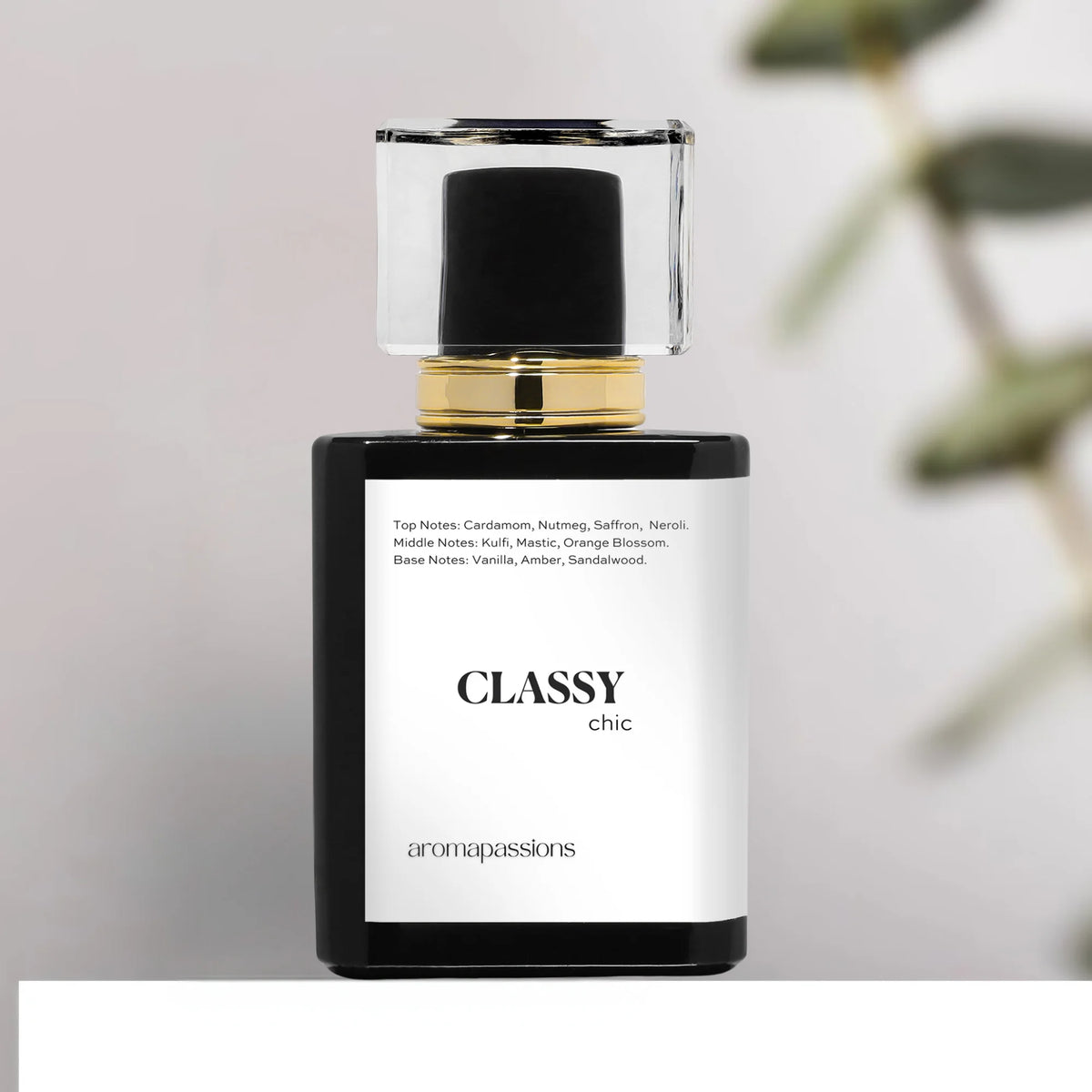 Pheromone Perfume Cologne for Men Extrait De Parfum Z649