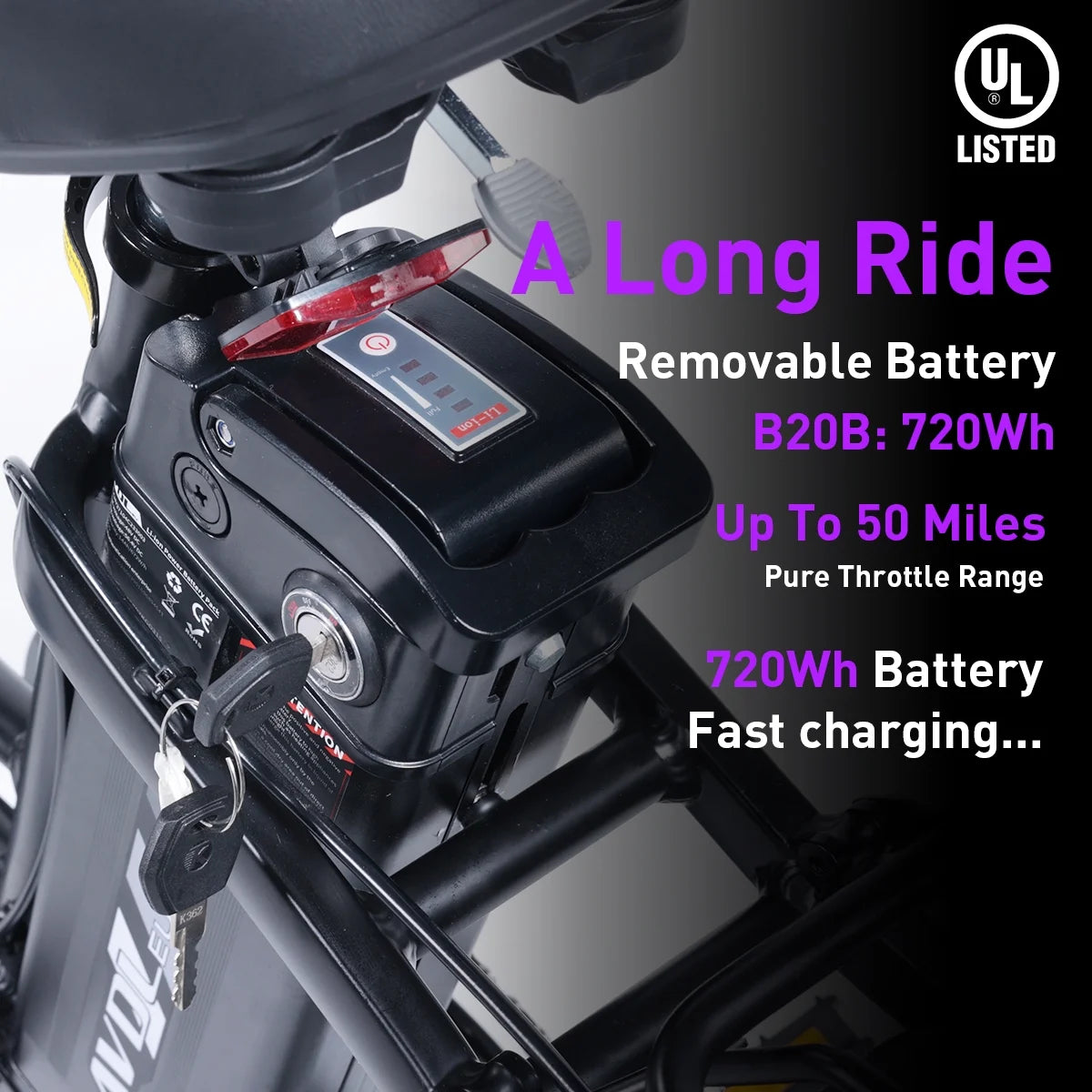 Folding Electric Bike 800W 48V 15Ah 20" Fat Tire U263