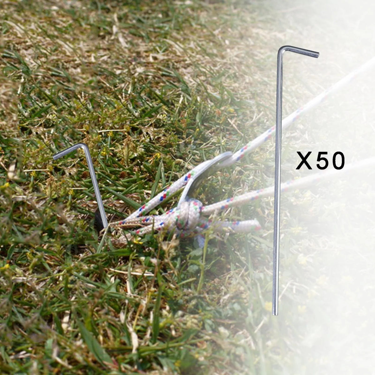 50 Pieces Aluminum Alloy Tent Stakes E266830