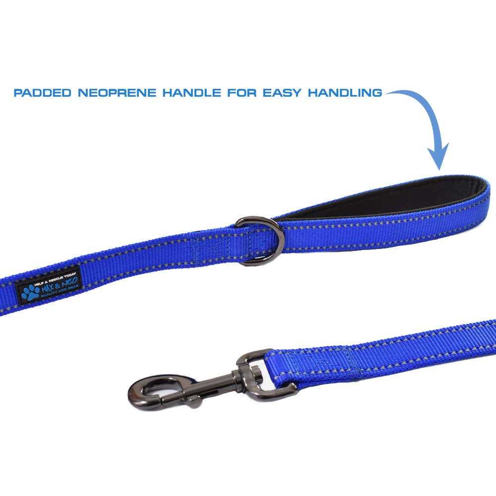 Double Handle Reflective Dog Leash P2571