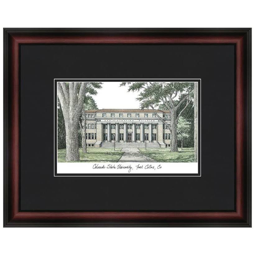 Academic Framed Lithograph H10936