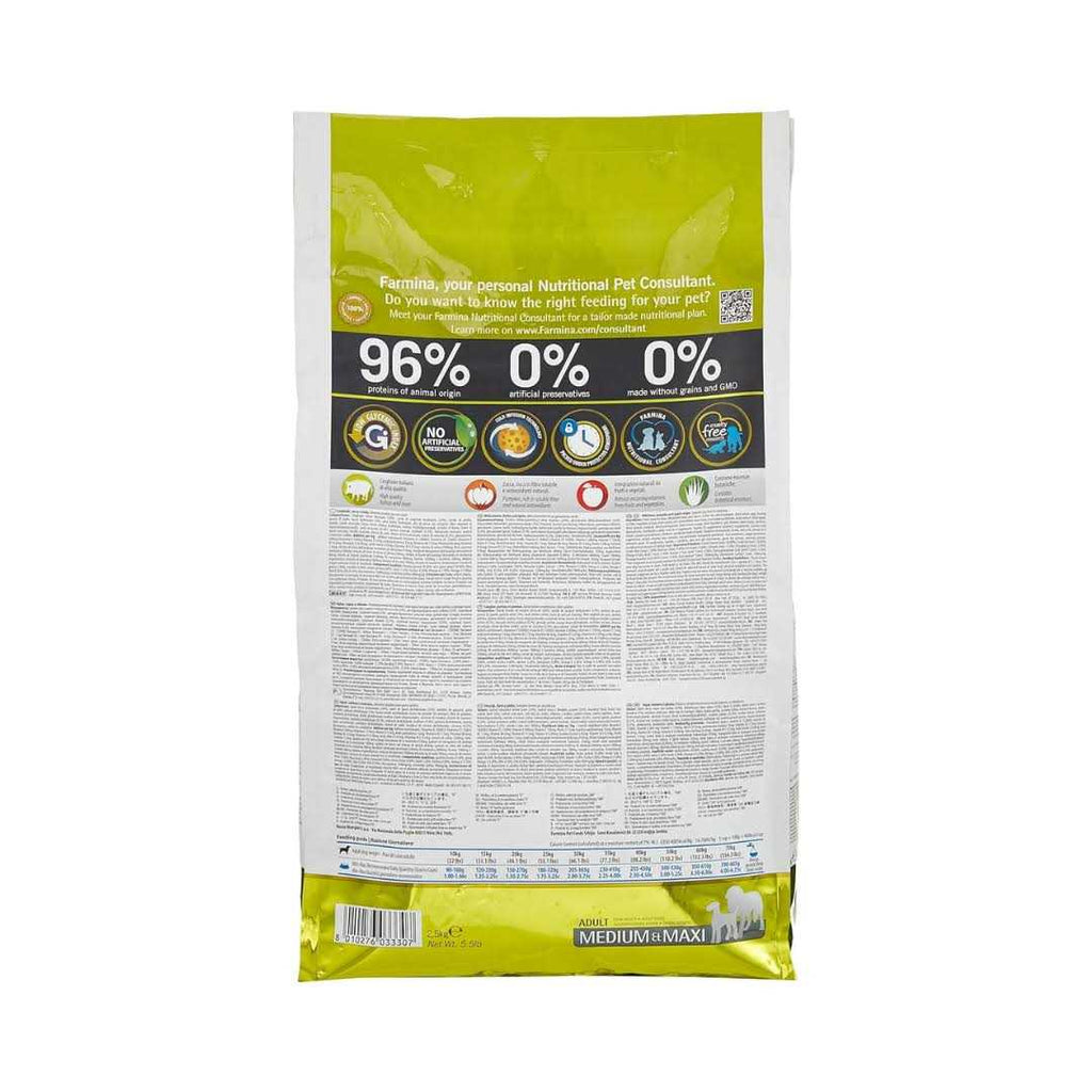 Pumpkin Boar Apple Adult Medium Maxi Dog Dry Food F4947