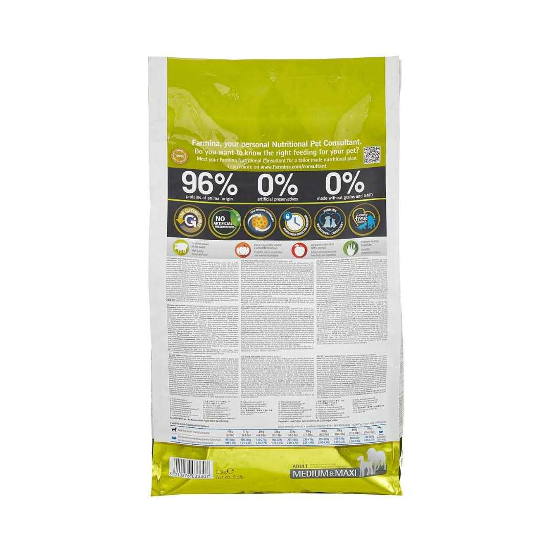 Pumpkin Boar Apple Adult Medium Maxi Dog Dry Food F4947