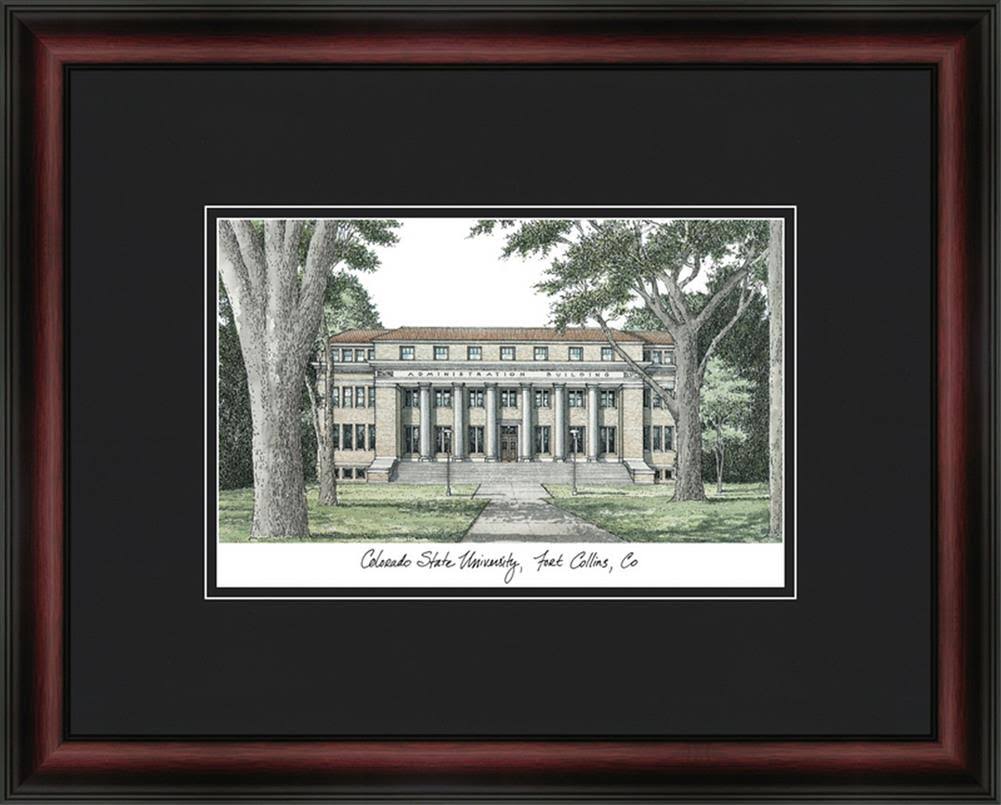 Academic Framed Lithograph H10936