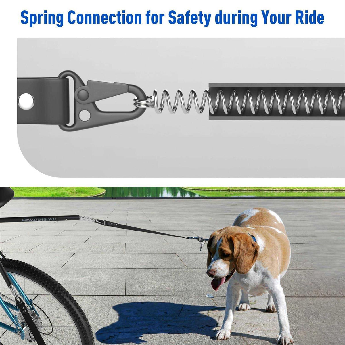 Hands Free Dog Bike Leash for 2 Dogs B722