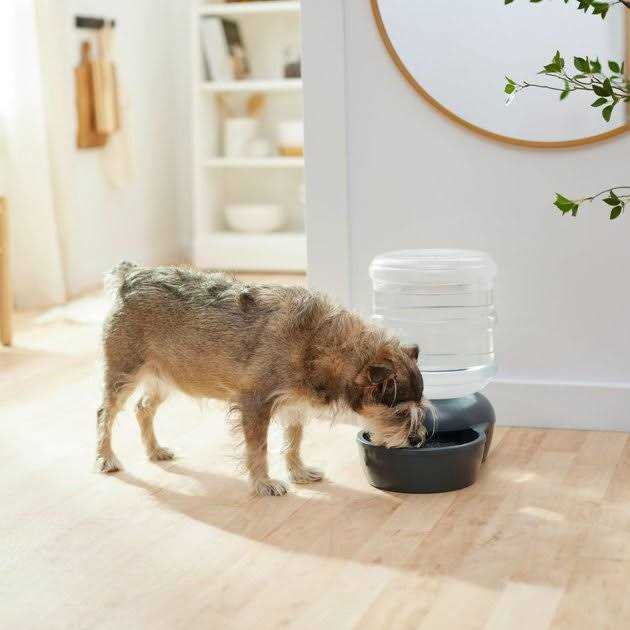 Gravity Waterer T77362