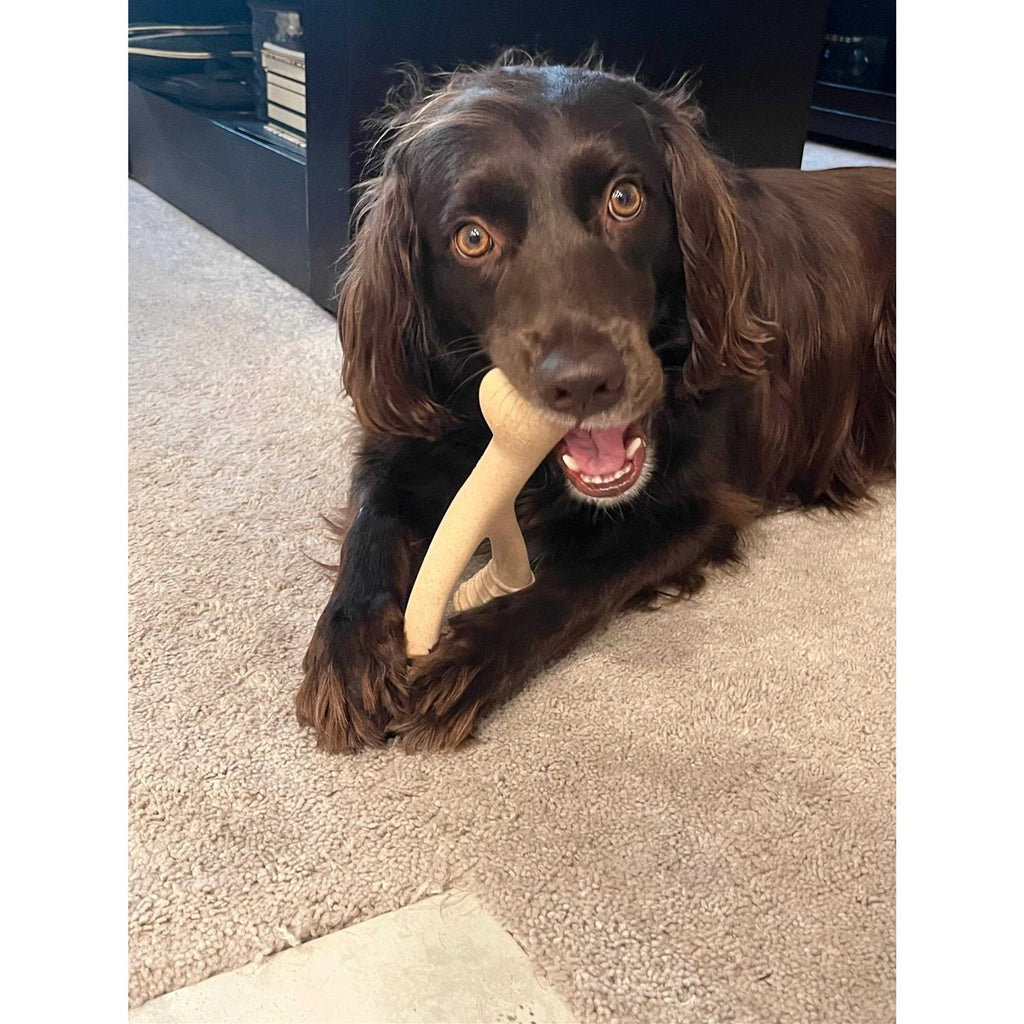 Tough Dog Chew Beef E197994