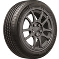 All Season 245/45R19 102W XL Passenger Tire P689212
