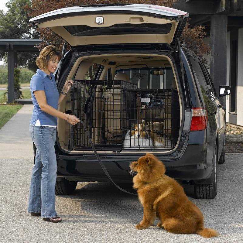 Double Door SUV Dog Crates P16985