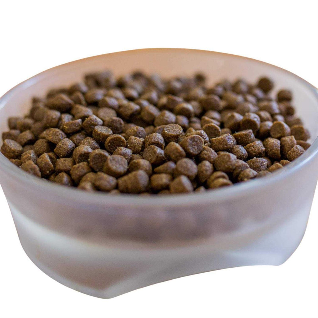Dry Dog Food J380536